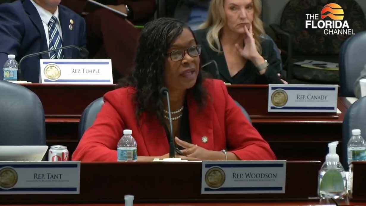 State Rep. Marie Paule Woodson, D-Hollywood, asks questions to Florida Insurance Commissioner Michael Yaworsky during a House subcommittee hearing held Oct. 18, 2023.