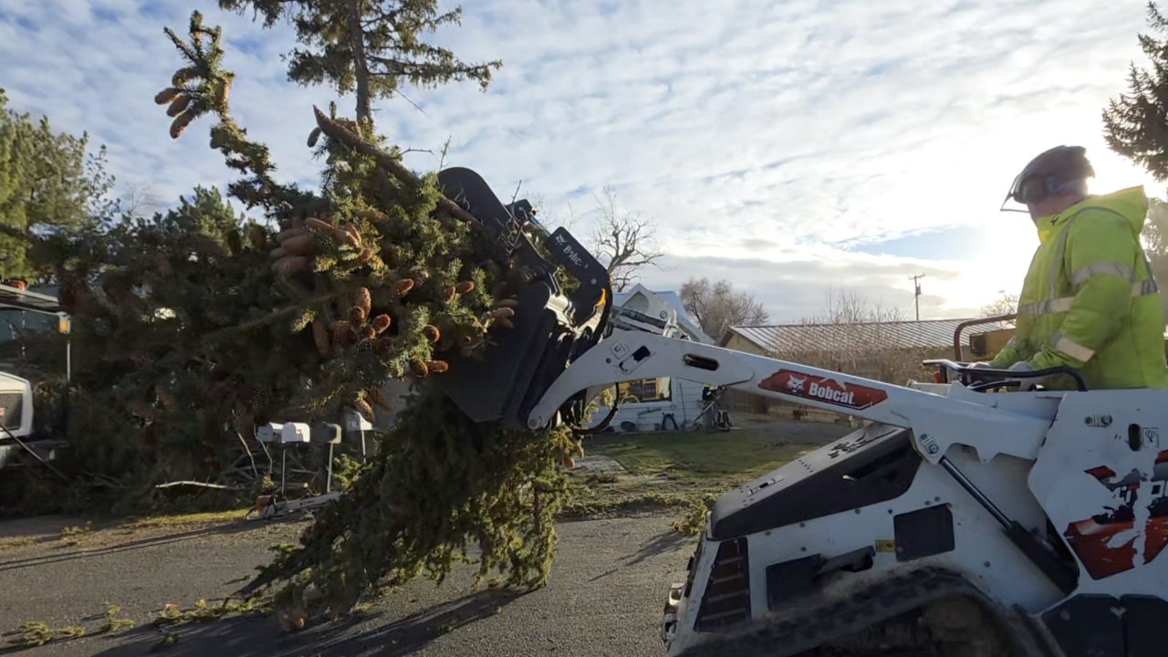 Tree Overtime High winds cause tree emergencies across Magic Valley as crews work ...