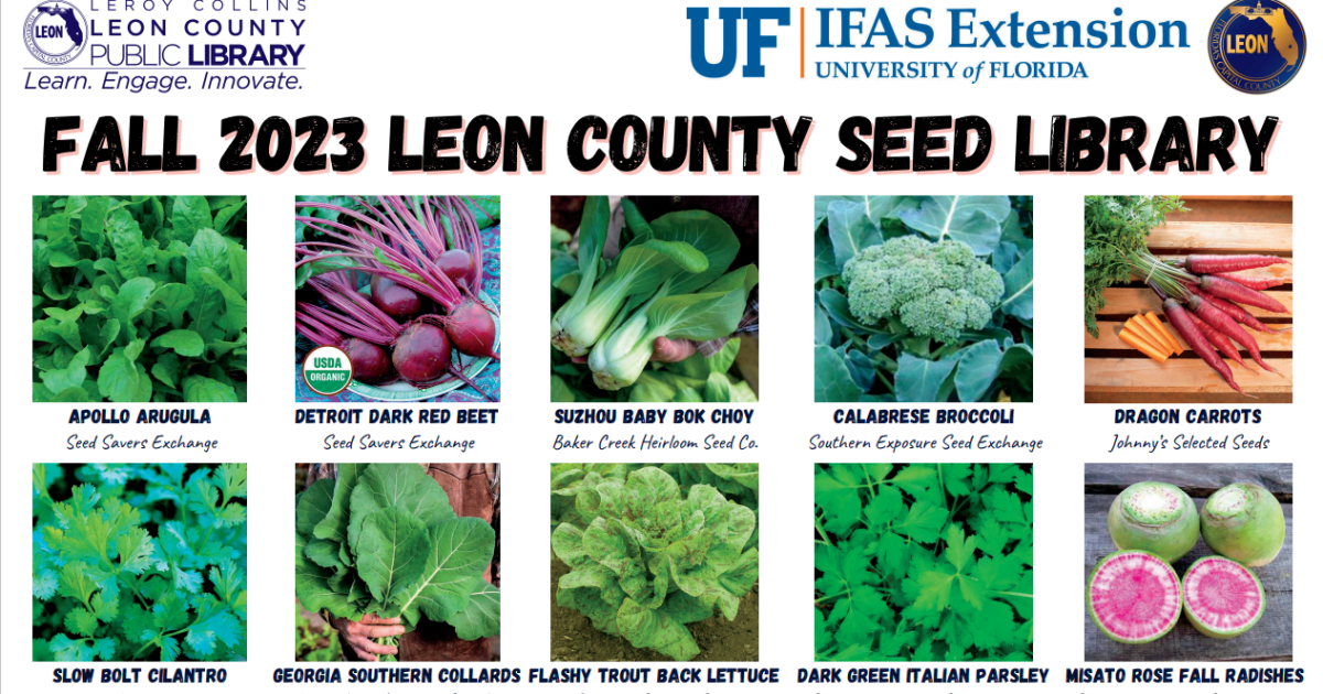 Fall Seed Library Kickoff - Vimarsana News