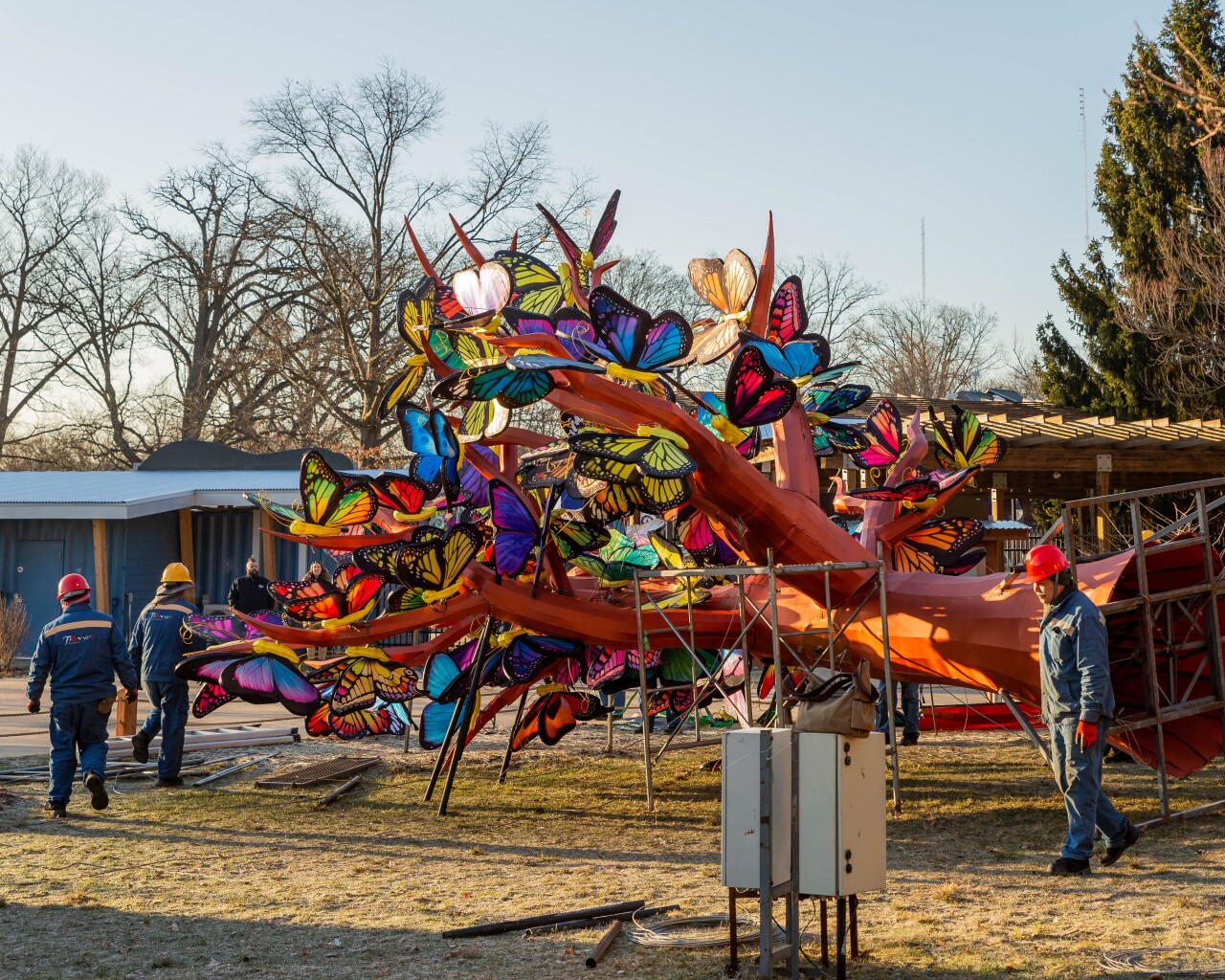 lantern festival jbz 3.jpg
