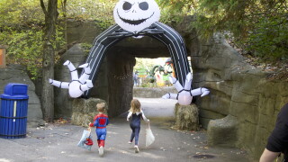 Zoo Goes Boo.jpg