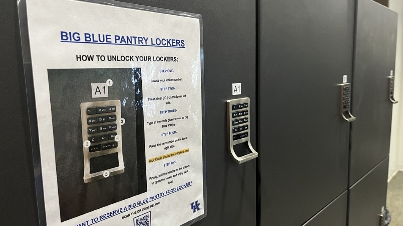 Big Blue Pantry Food Locker