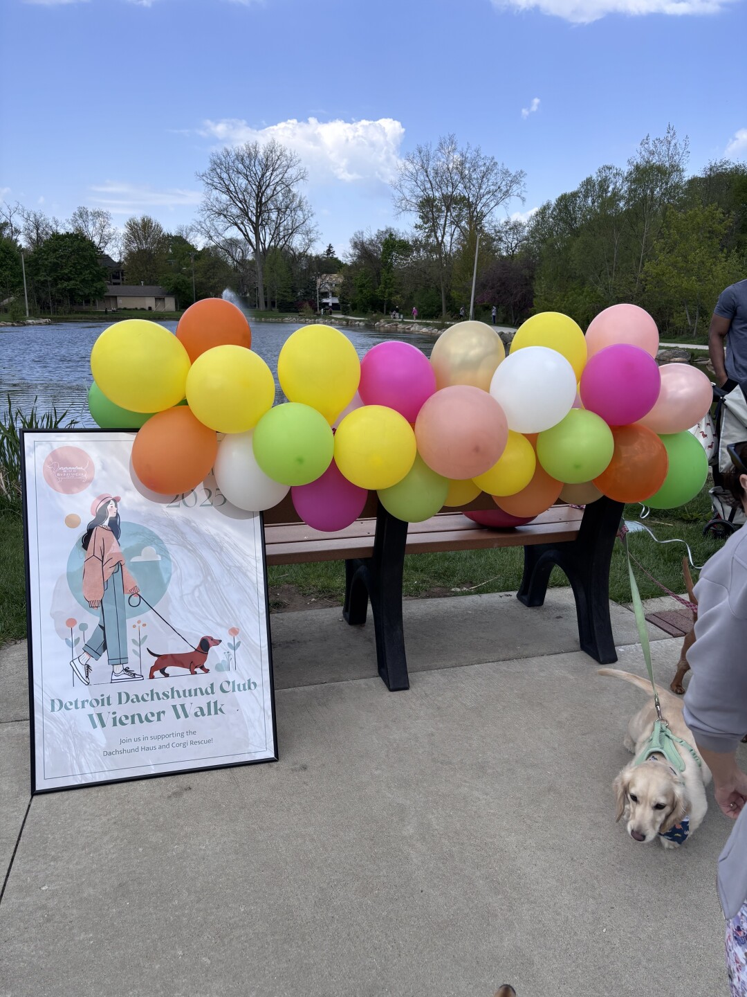 weenie walk pic 1.jpg