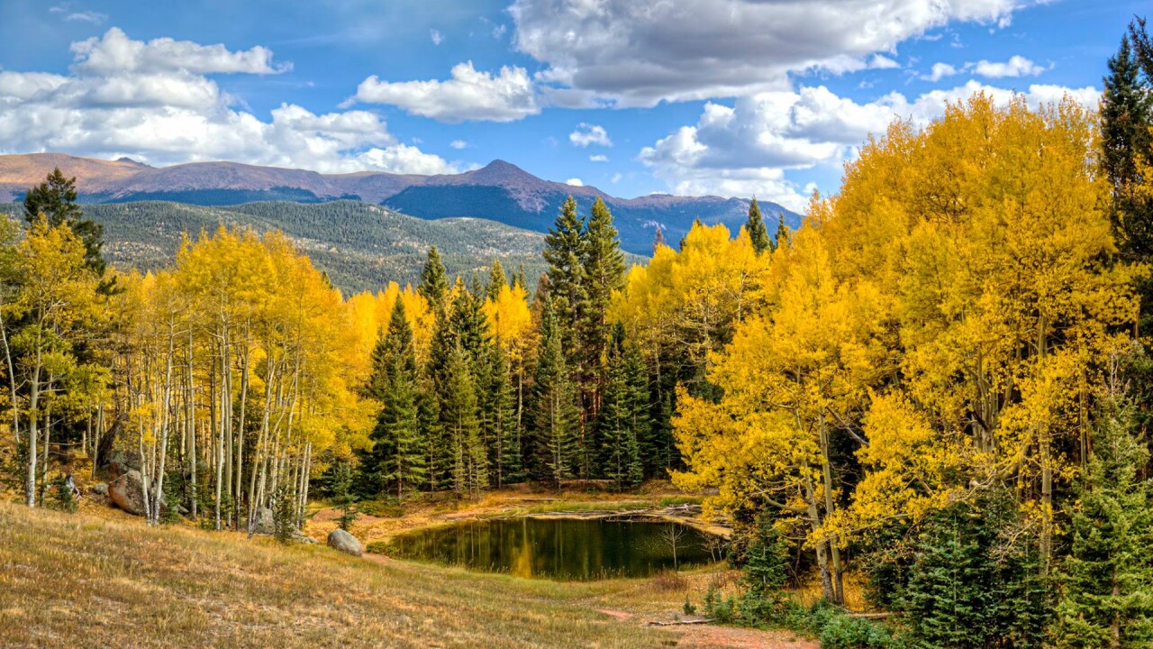 Mueller State Park Larry Marr.jpg