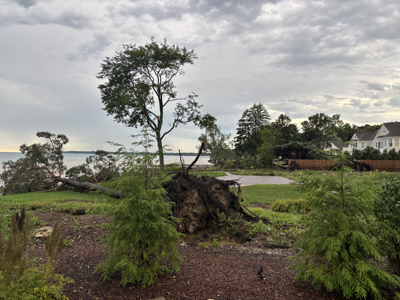 Cleanup crews spent much of the day on North Beach Drive in Fox Point, where several large trees were uprooted and toppled into residential yards.