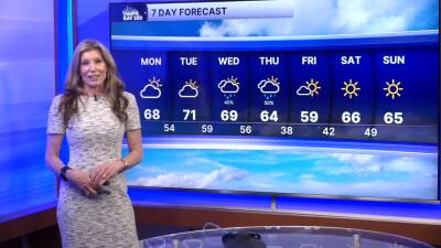 Forecast: Hazy sunshine and dry