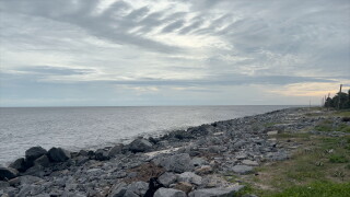Alligator Point