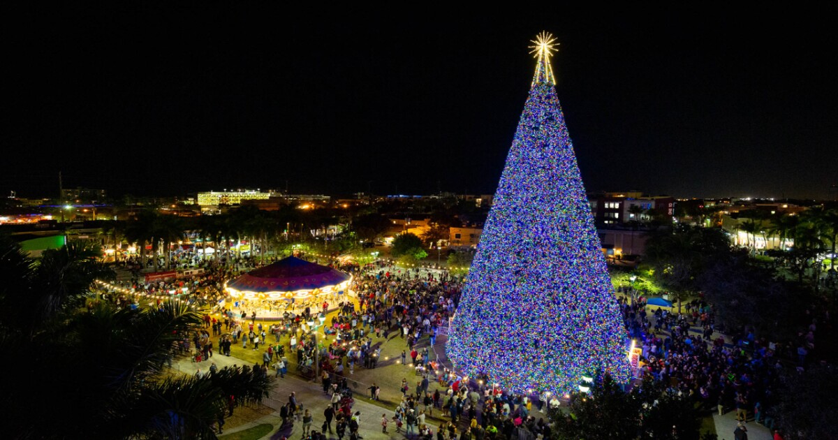 Delray Beach To Light 100 foot Christmas Tree delray-beach-to-light-100-foot-christmas-tree