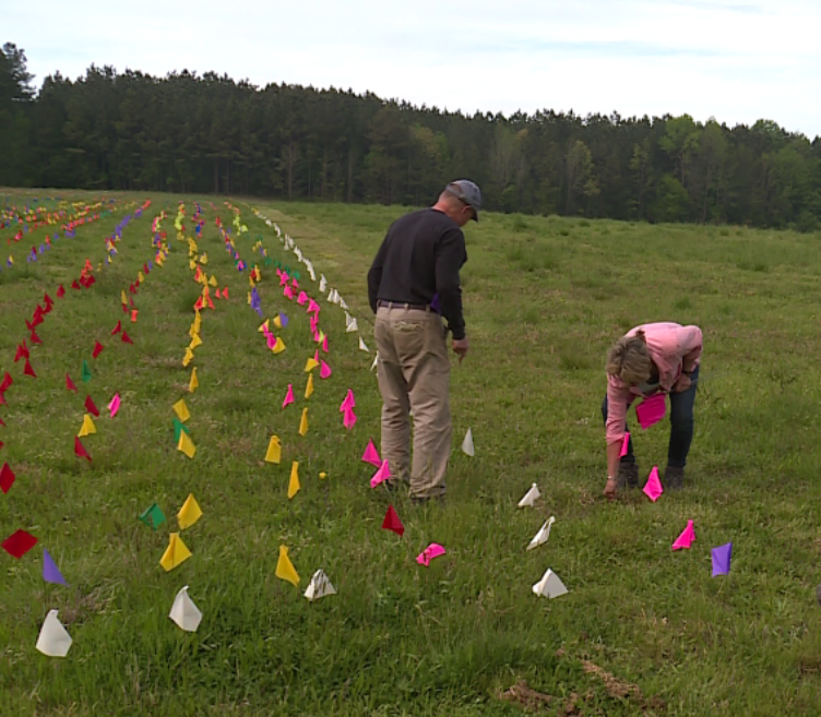 Covid Flag Farm 02.png