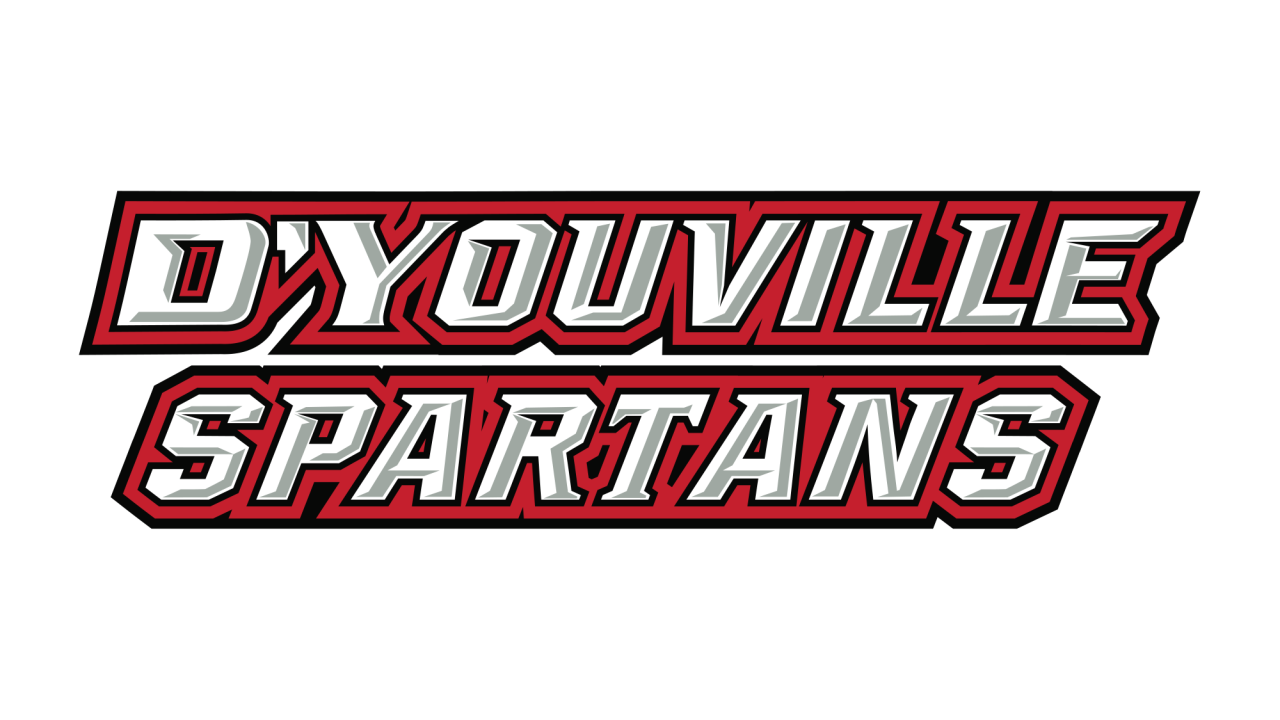 D'Youville sports to move up to NCAA's Division II