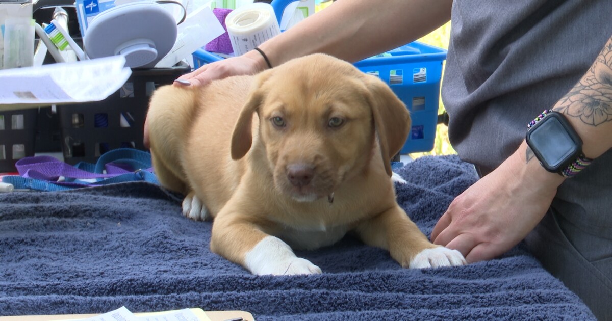 Mobile nocost veterinary clinic visits Montana reservations