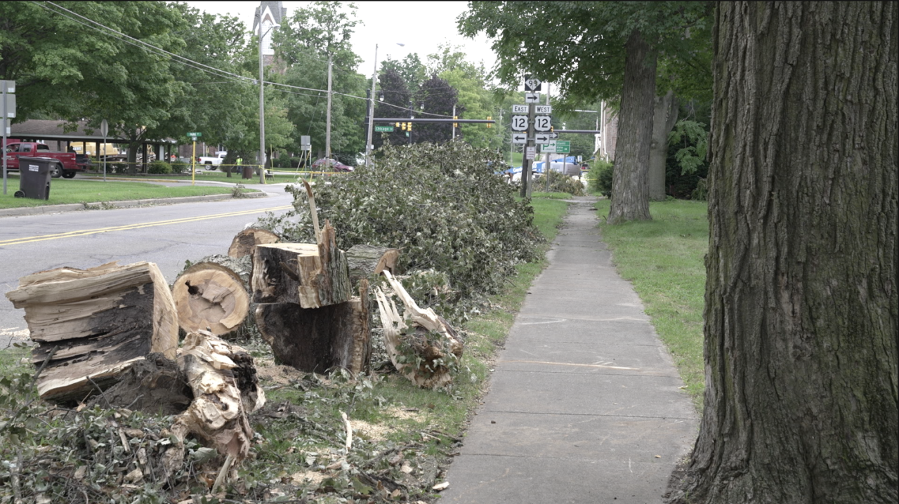 Hillsdale County storm damage