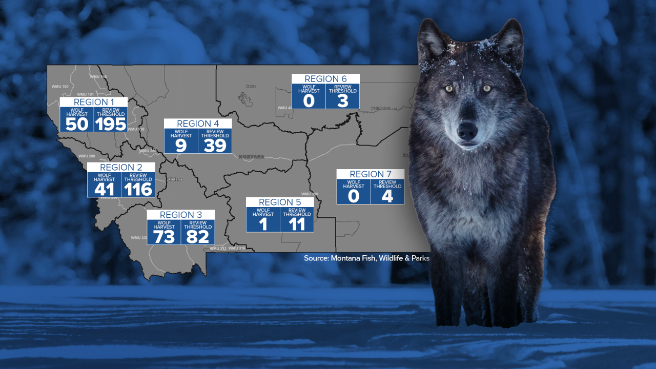 Wolf harvest seasonal update by region