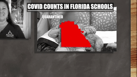 quarantine testing 2.gif
