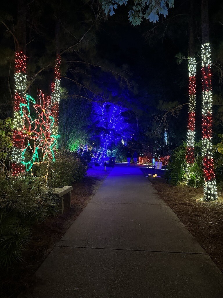 botanical gardens holiday lights.jpg