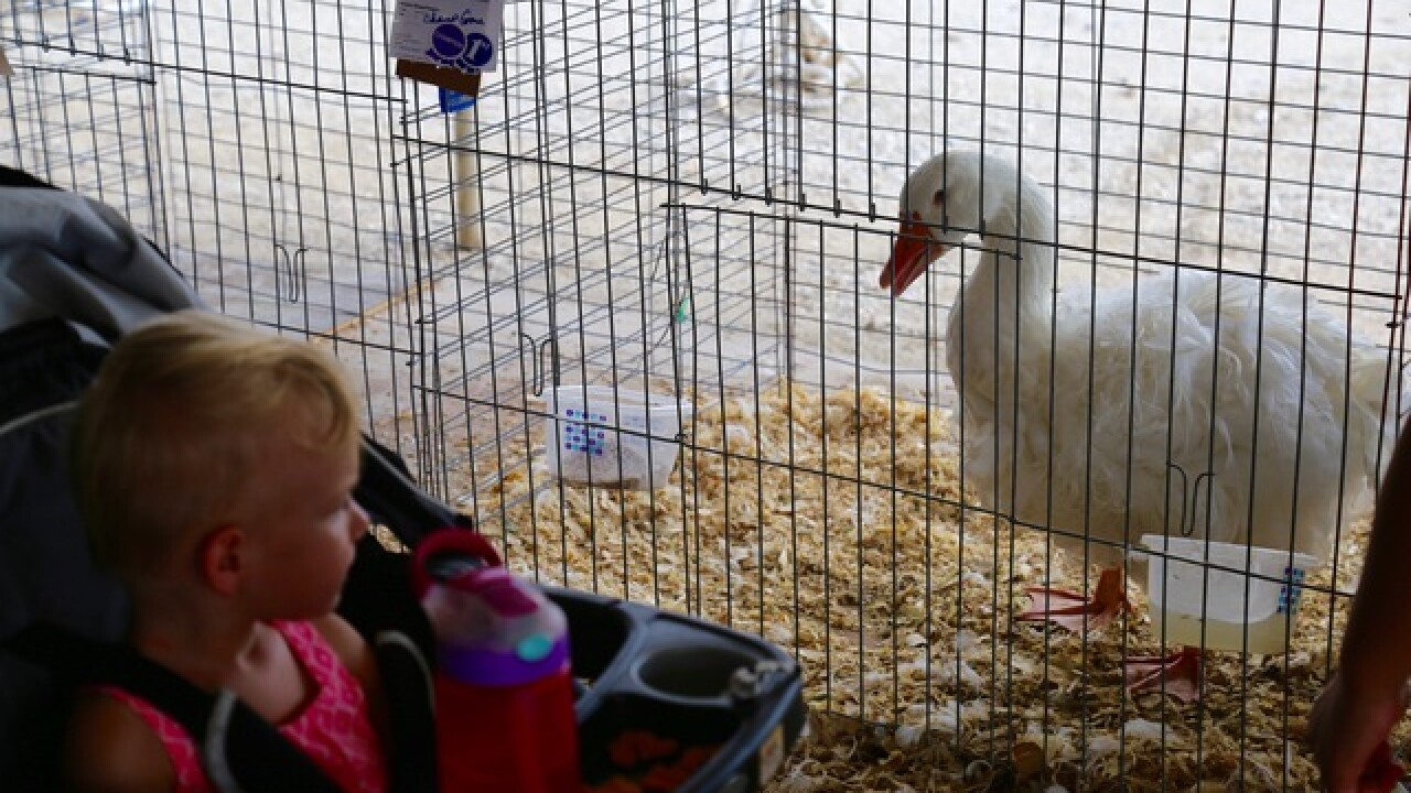The 174th Waukesha County Fair comes to a close