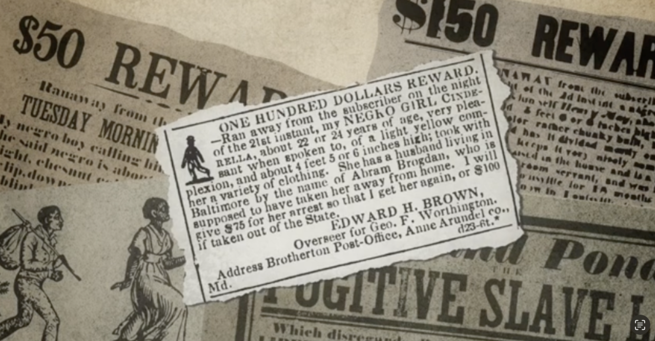 Screenshot 2026-01-29 at 11.28.36 AM.png