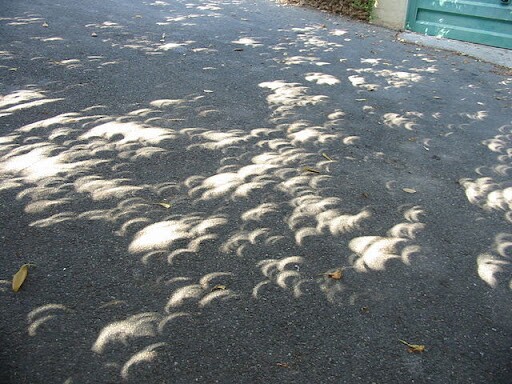 Eclipse through the leaves