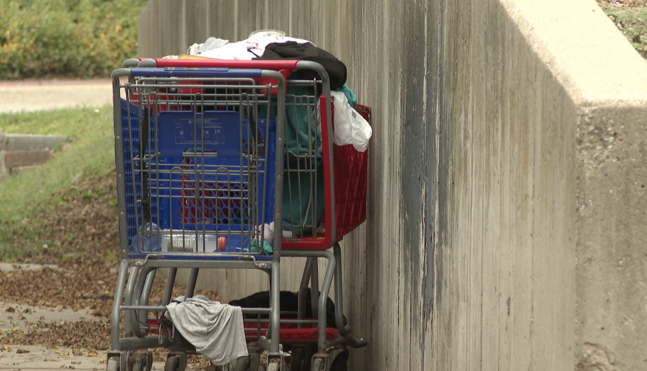Shopping carts at encampment