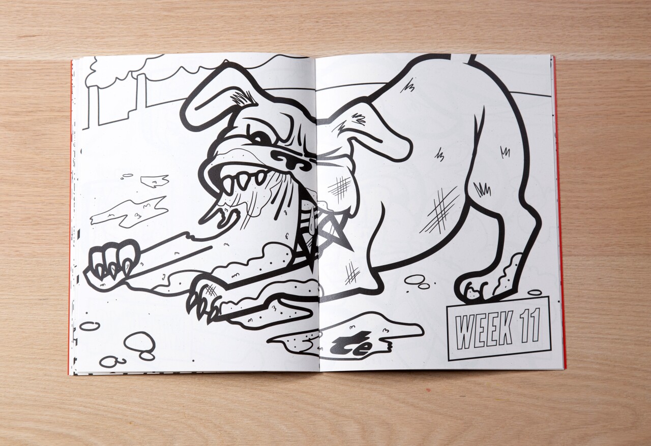 Browns coloring book