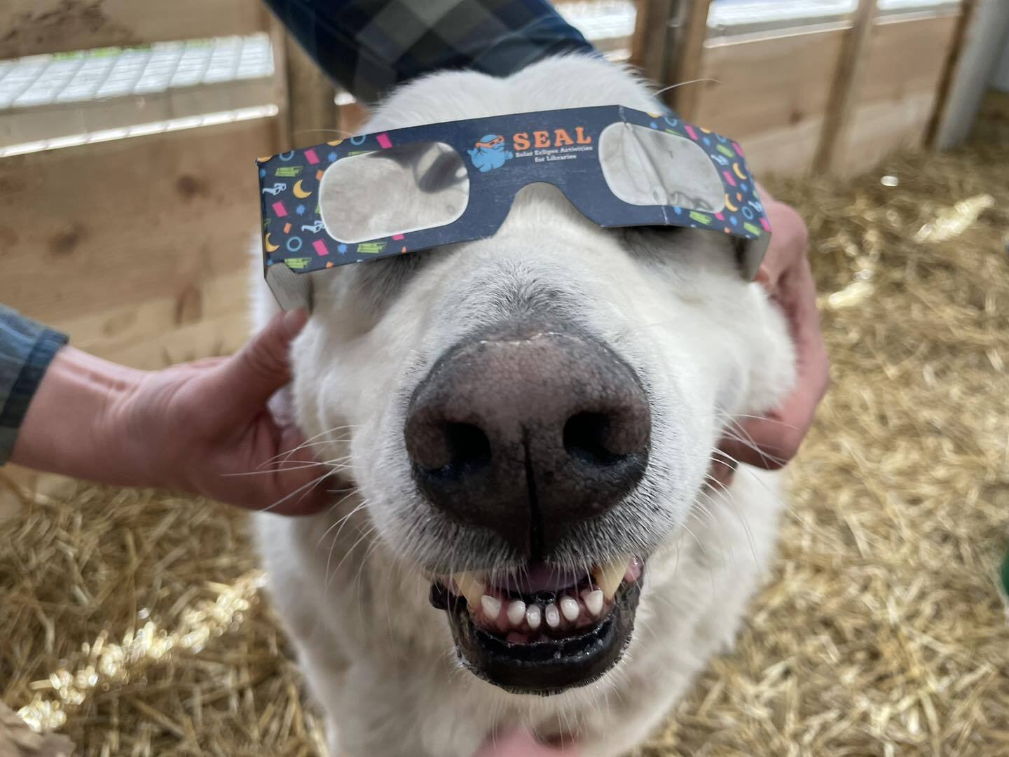 Critter Barn 5.jpeg