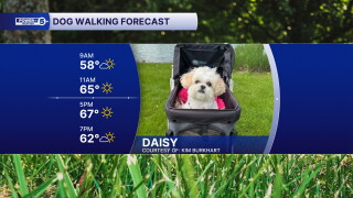 Daisy