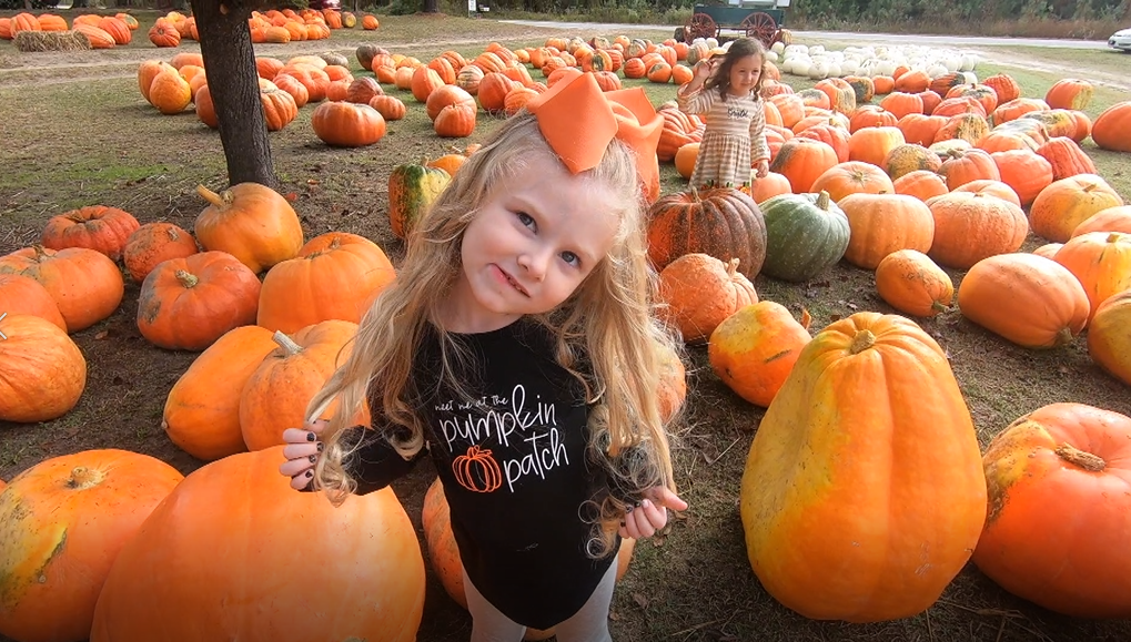 Allens Pumpkin Farm 07 .png