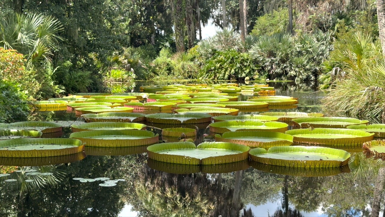 The achievement makes Bok Tower Gardens a back-to-back champion in the competition.