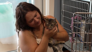 Adopting