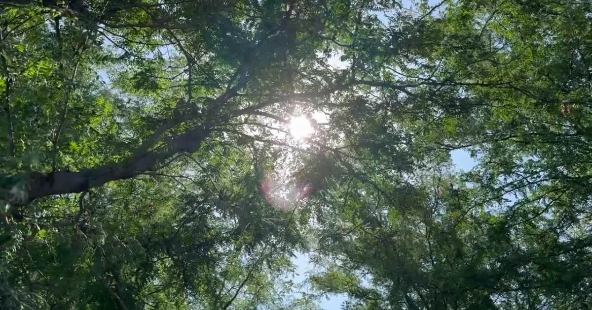 Warm overnight temperatures pose hidden danger during extended heat waves