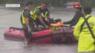 Pets being rescued in Hurricane Ian's aftermatch