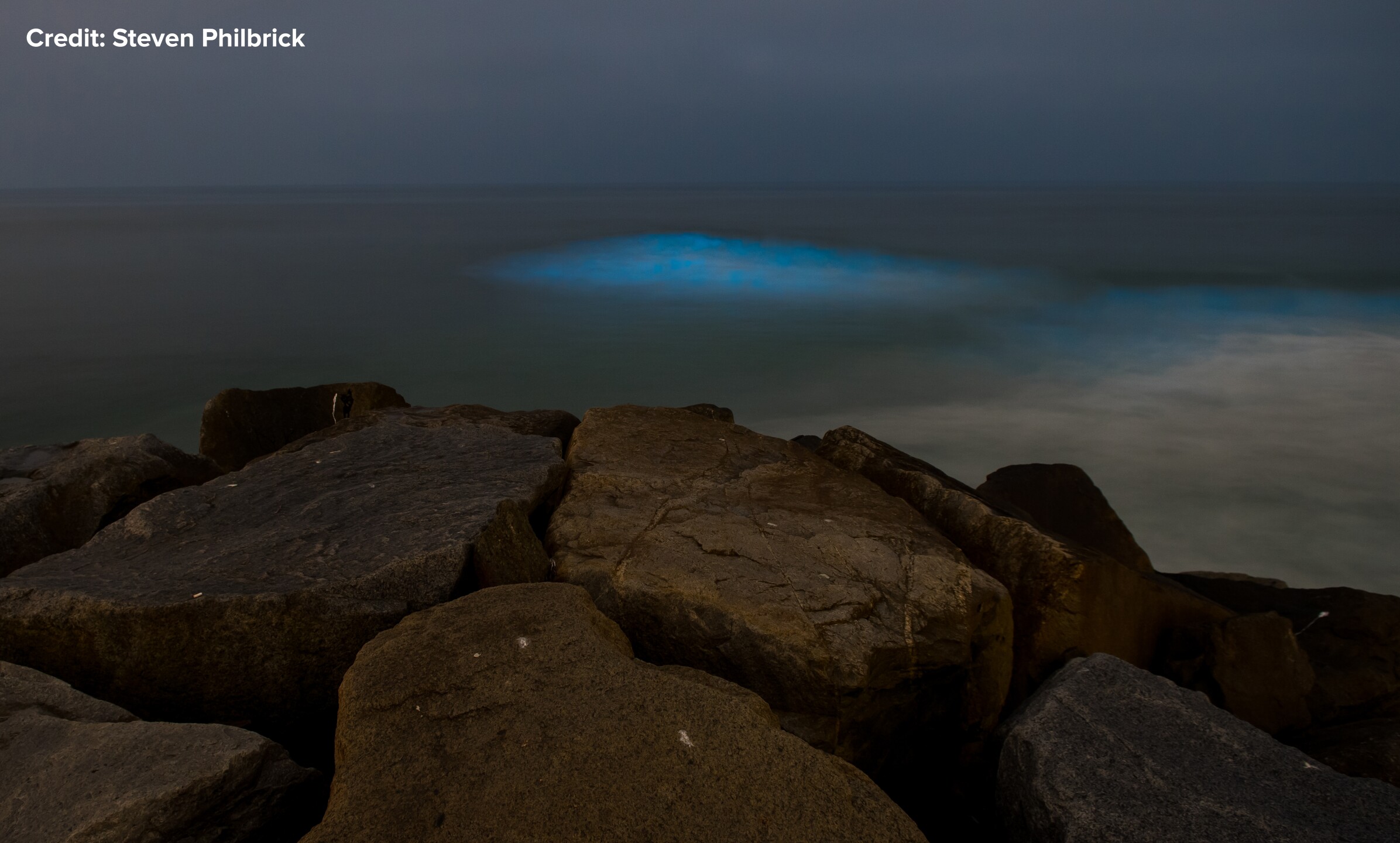 PHOTOS Bioluminescence waves captured in North San Diego County
