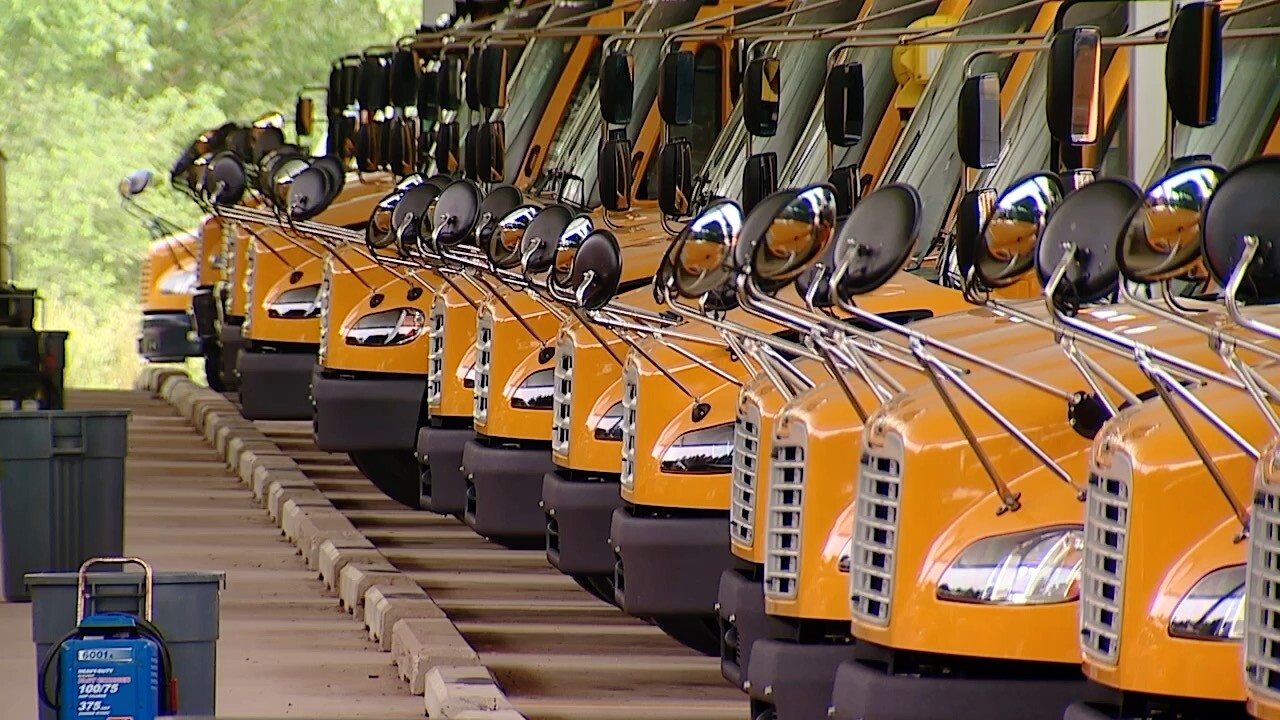 buses.jpg