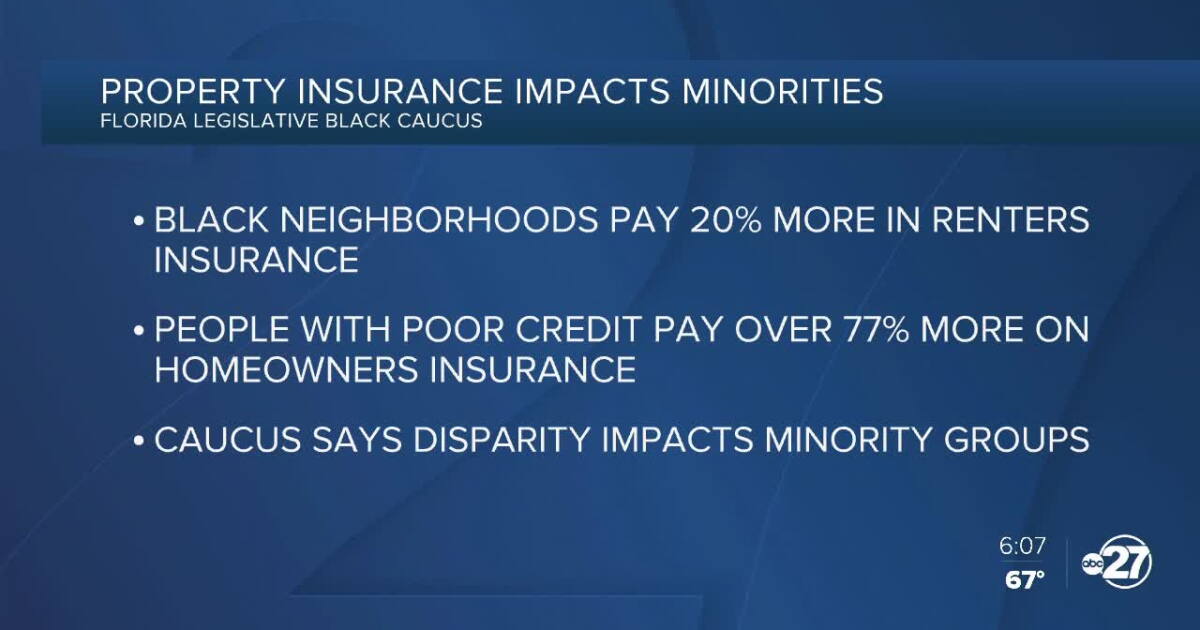 Protect Insurance Minority Property insurance has become a major burden to minority groups in Florida