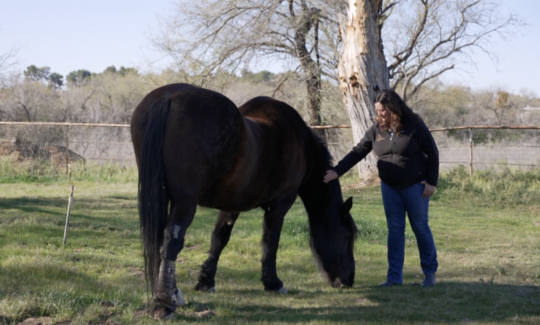 Screenshot 2026-02-24 at 6.13.50 AM.png