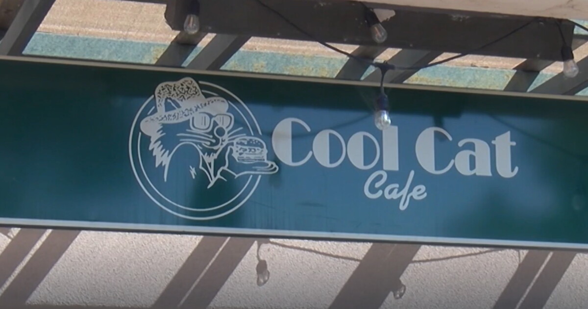 Cool Cats Cafe hosted a Maui fundraiser in San Luis Obispo on Saturday - Vimarsana News