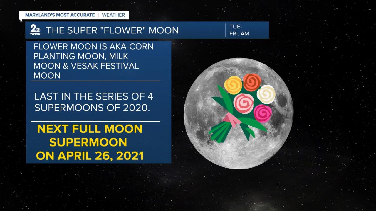 Flower Moon.jpg