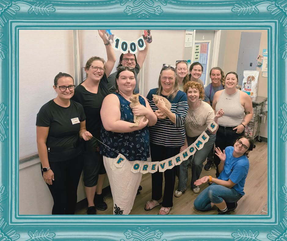 1000 ADOPTIONS