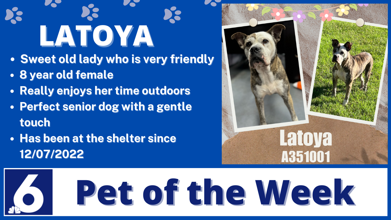 Pet Of The Week: Latoya