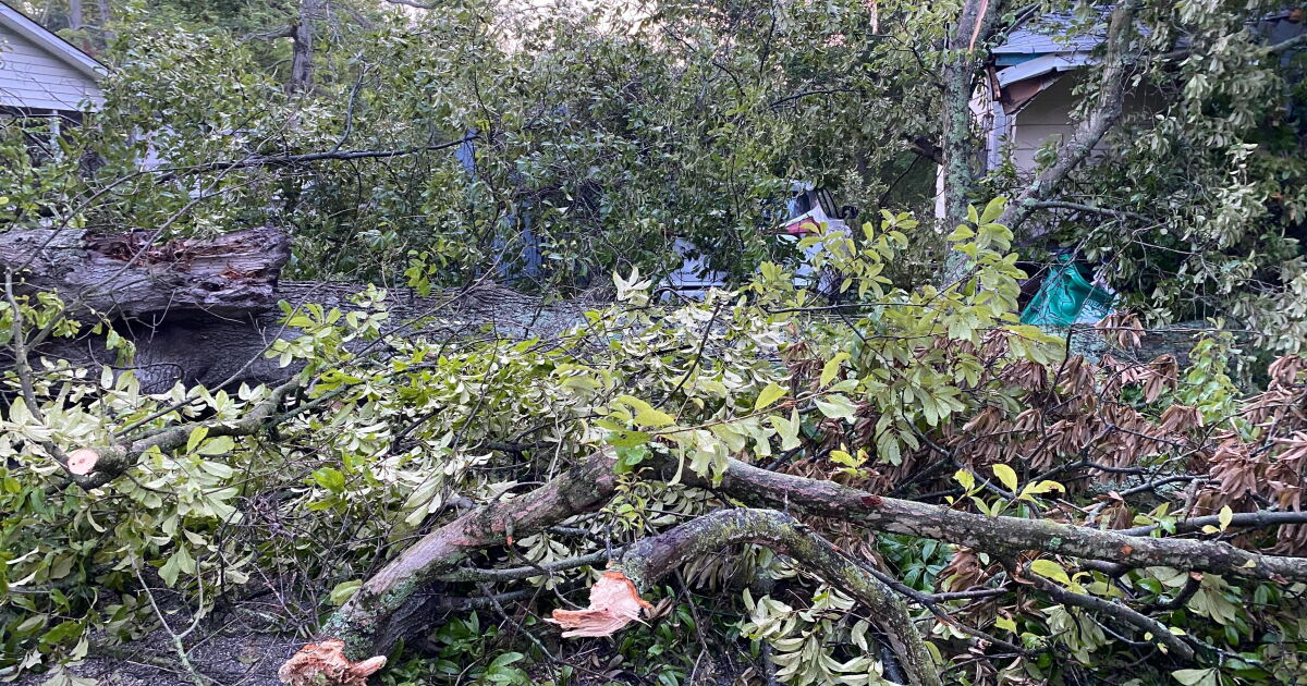 Strong storms leave behind damage around the Tri-State
