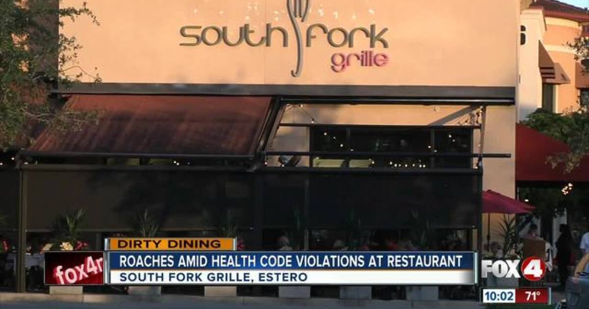 Dirty Dining Roaches Health Violations At Estero Restaurant