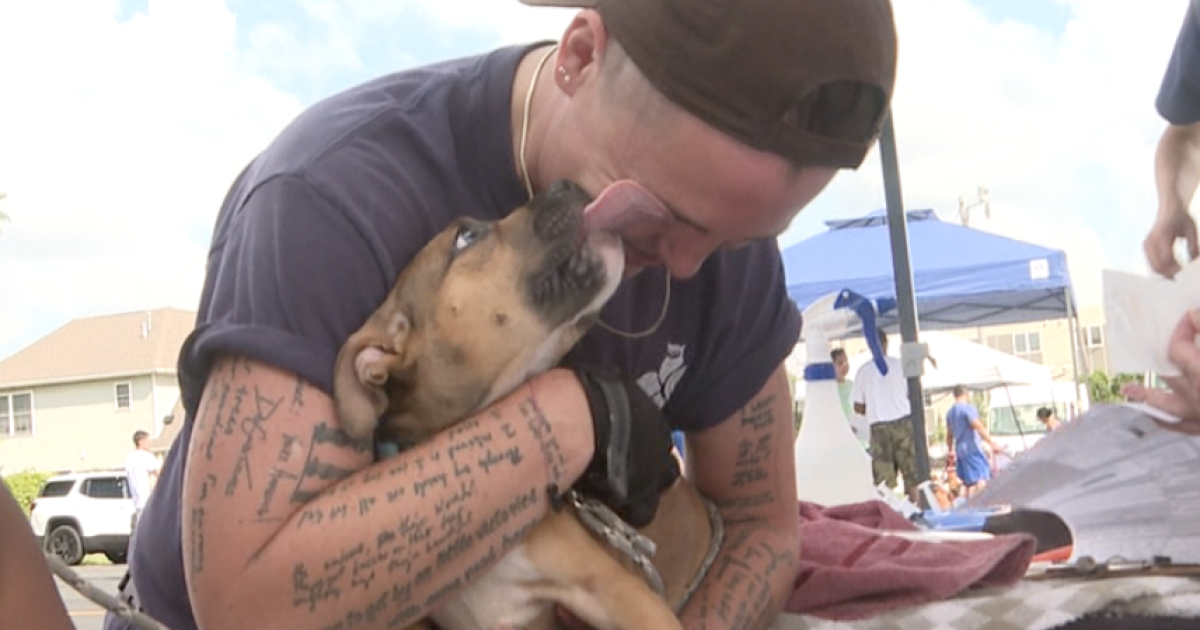 "The cost is real,": Managing the cost of pet ownership in WNY - Vimarsana News