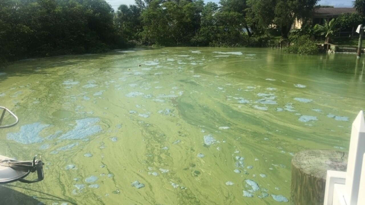 Researchers warn about toxic nitrogen fertilizer