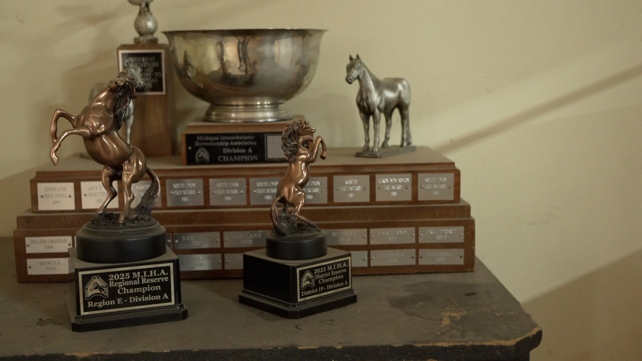 Caledonia Equestrian Team
