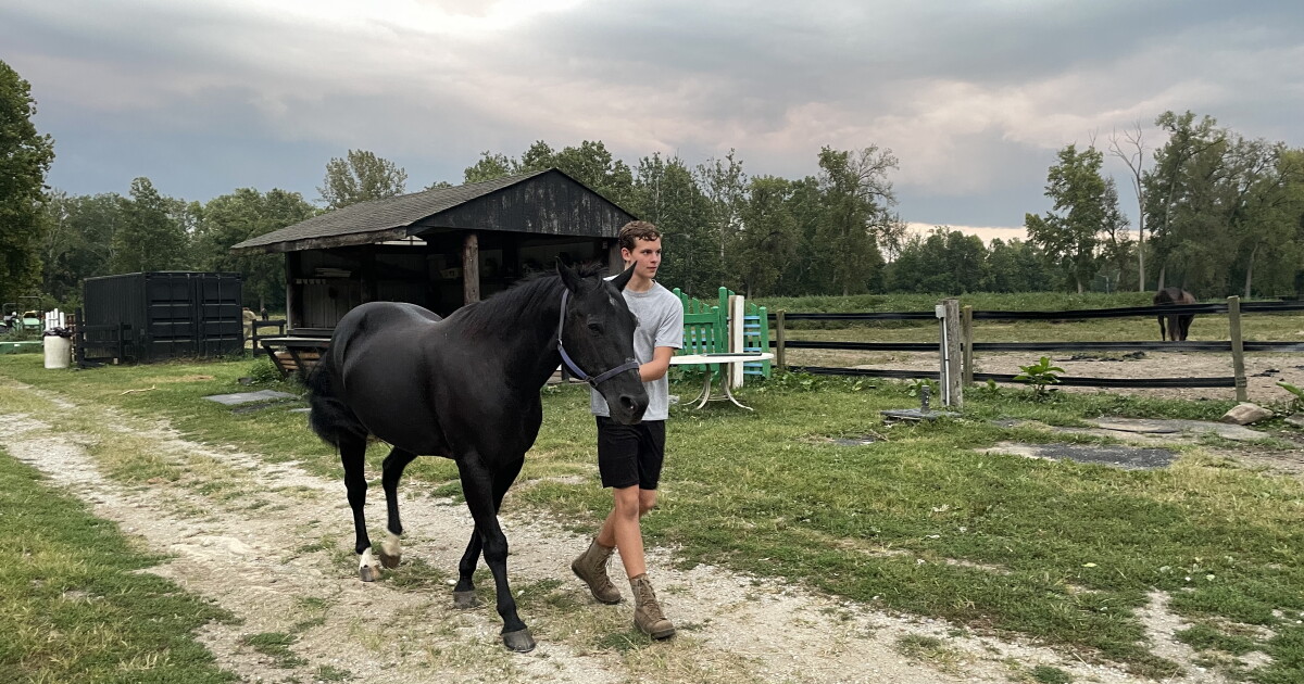 Ben's Ranch Foundation expands to reach more teens battling mental health issues - Vimarsana News