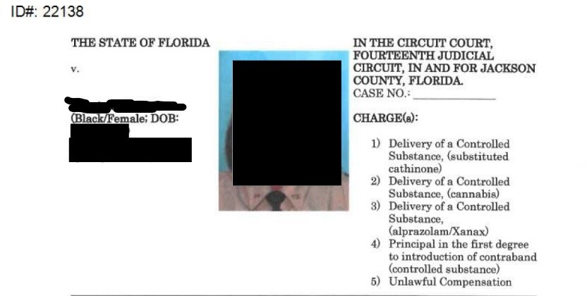 Arrest affidavit for Florida corrections officer