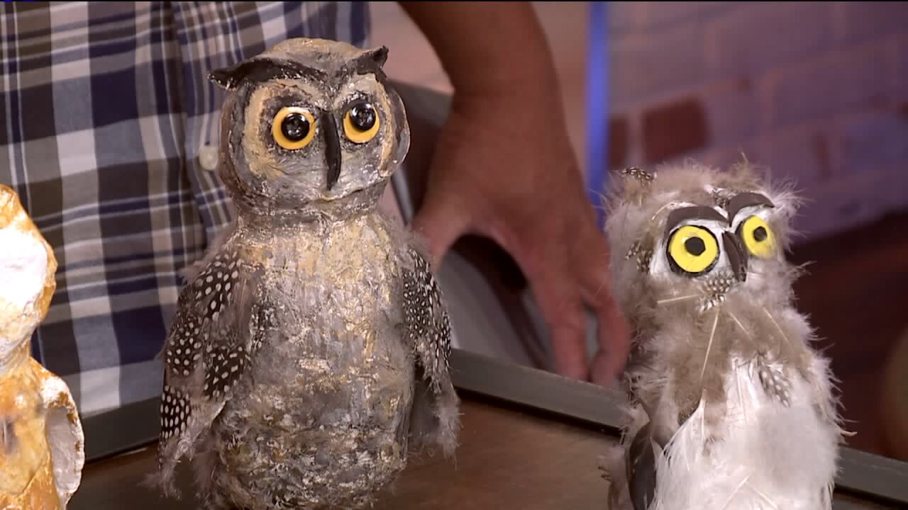 From Harry Potter to Star, Wars Bad Dog Arts has a summer camp perfect for your kids