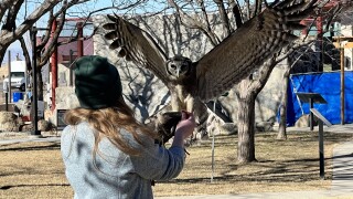 World Center Birds of Prey