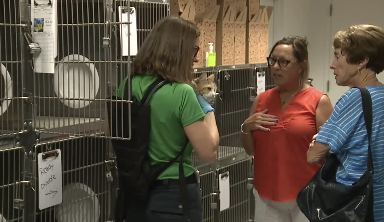 Henderson animal shelter