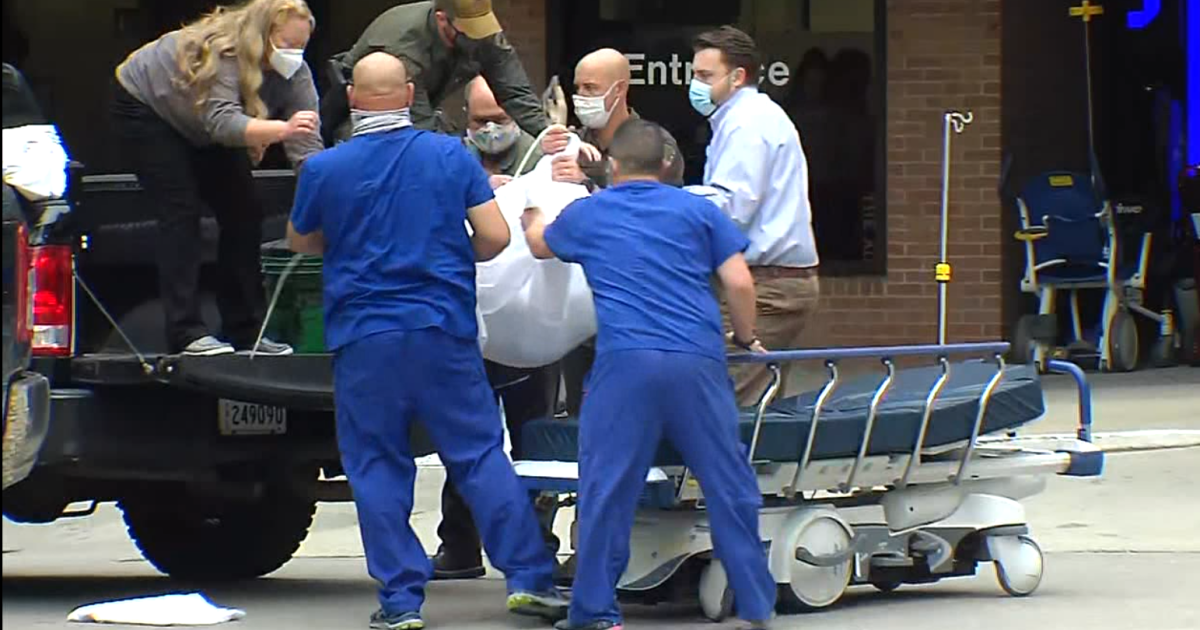 Deer captured after entering Baton Rouge hospital